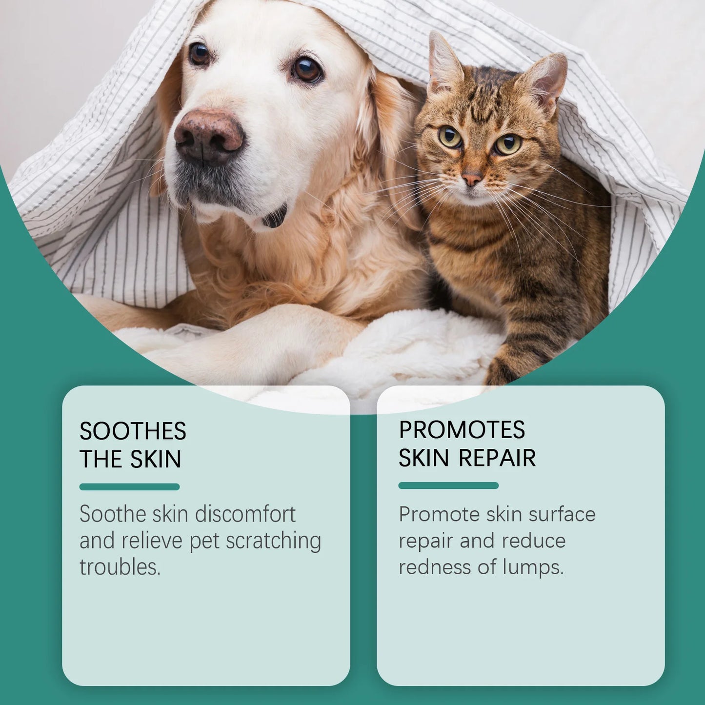 End Constant Scratching, Restore Calm Nights, and Heal Your Dog’s Skin