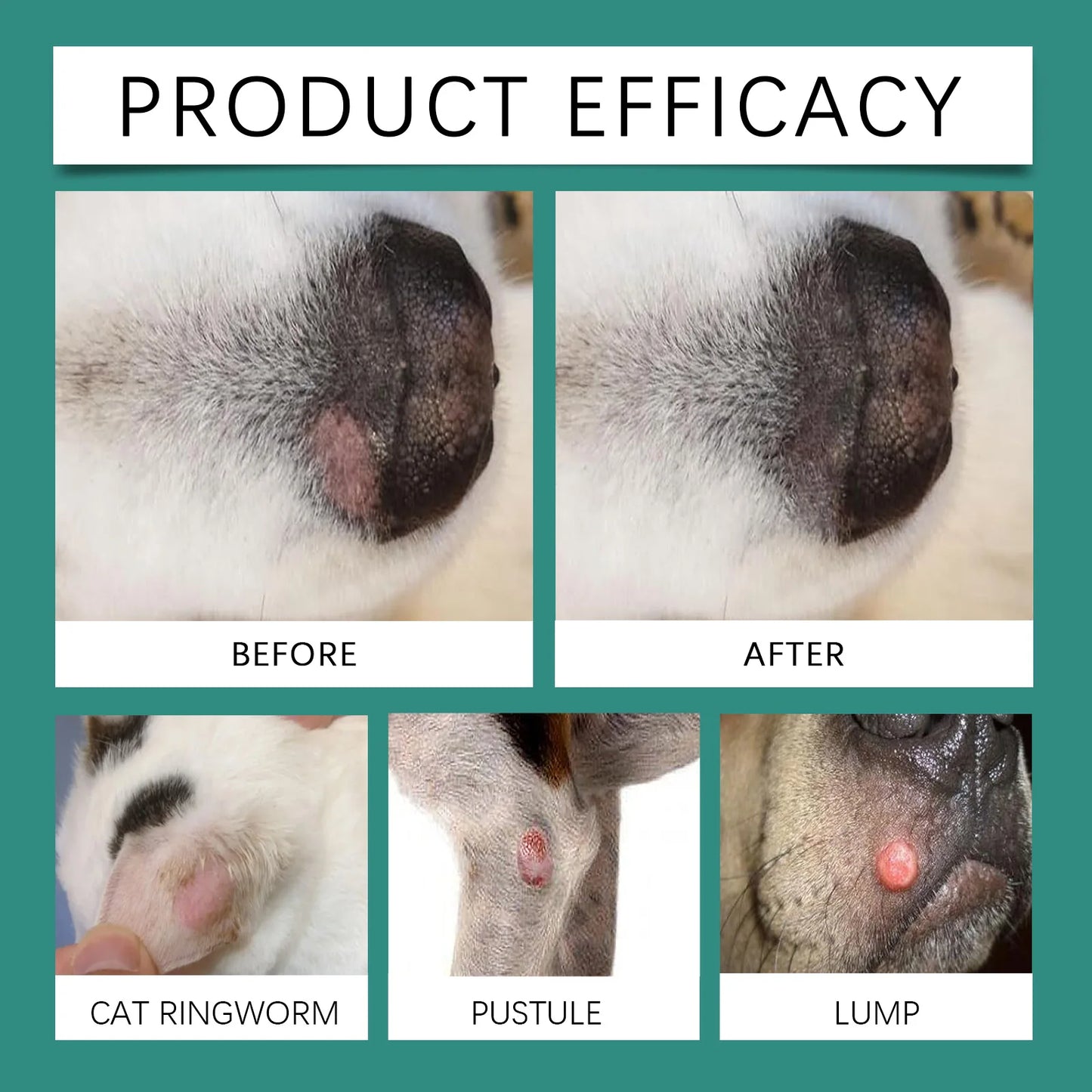 End Constant Scratching, Restore Calm Nights, and Heal Your Dog’s Skin