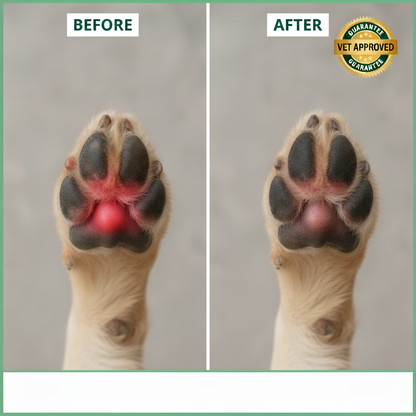 End Constant Scratching, Restore Calm Nights, and Heal Your Dog’s Skin