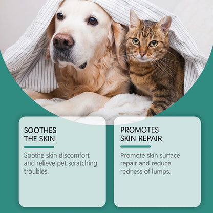 End Constant Scratching, Restore Calm Nights, and Heal Your Dog’s Skin