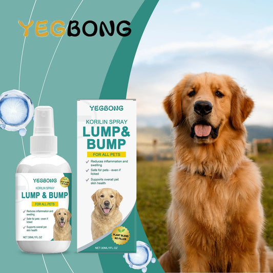 End Constant Scratching, Restore Calm Nights, and Heal Your Dog’s Skin