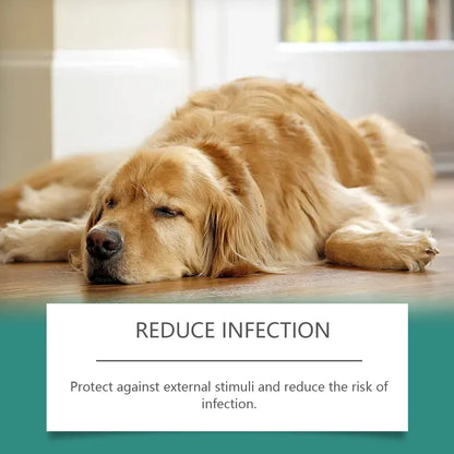 End Constant Scratching, Restore Calm Nights, and Heal Your Dog’s Skin