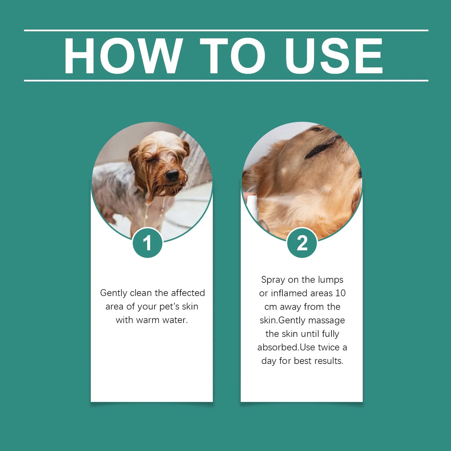 End Constant Scratching, Restore Calm Nights, and Heal Your Dog’s Skin